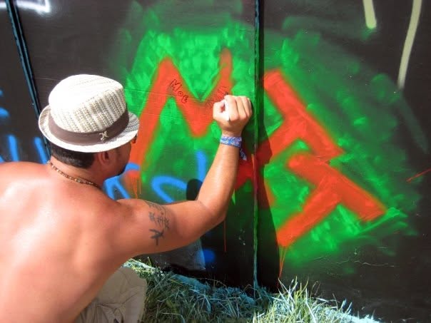Bonnaroo 2008 live, frame 3