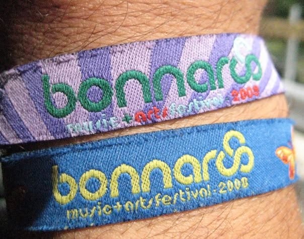 Bonnaroo 2008 live, frame 4