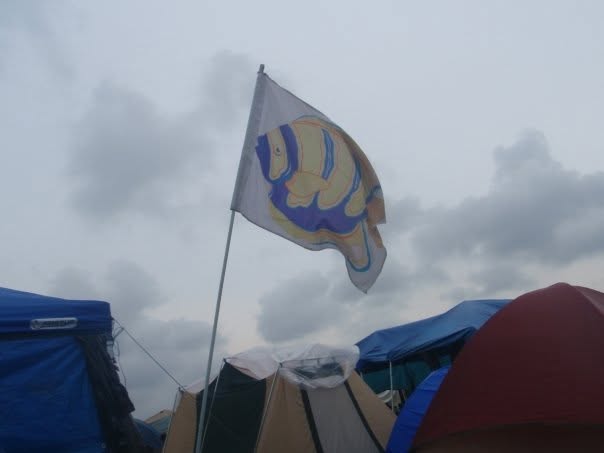 Bonnaroo 2009 live, frame 21
