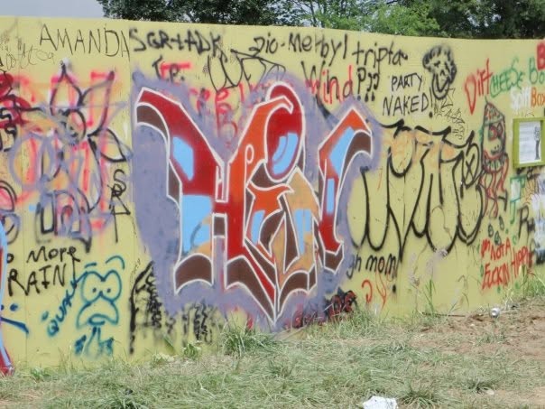 Bonnaroo 2009 live, frame 62