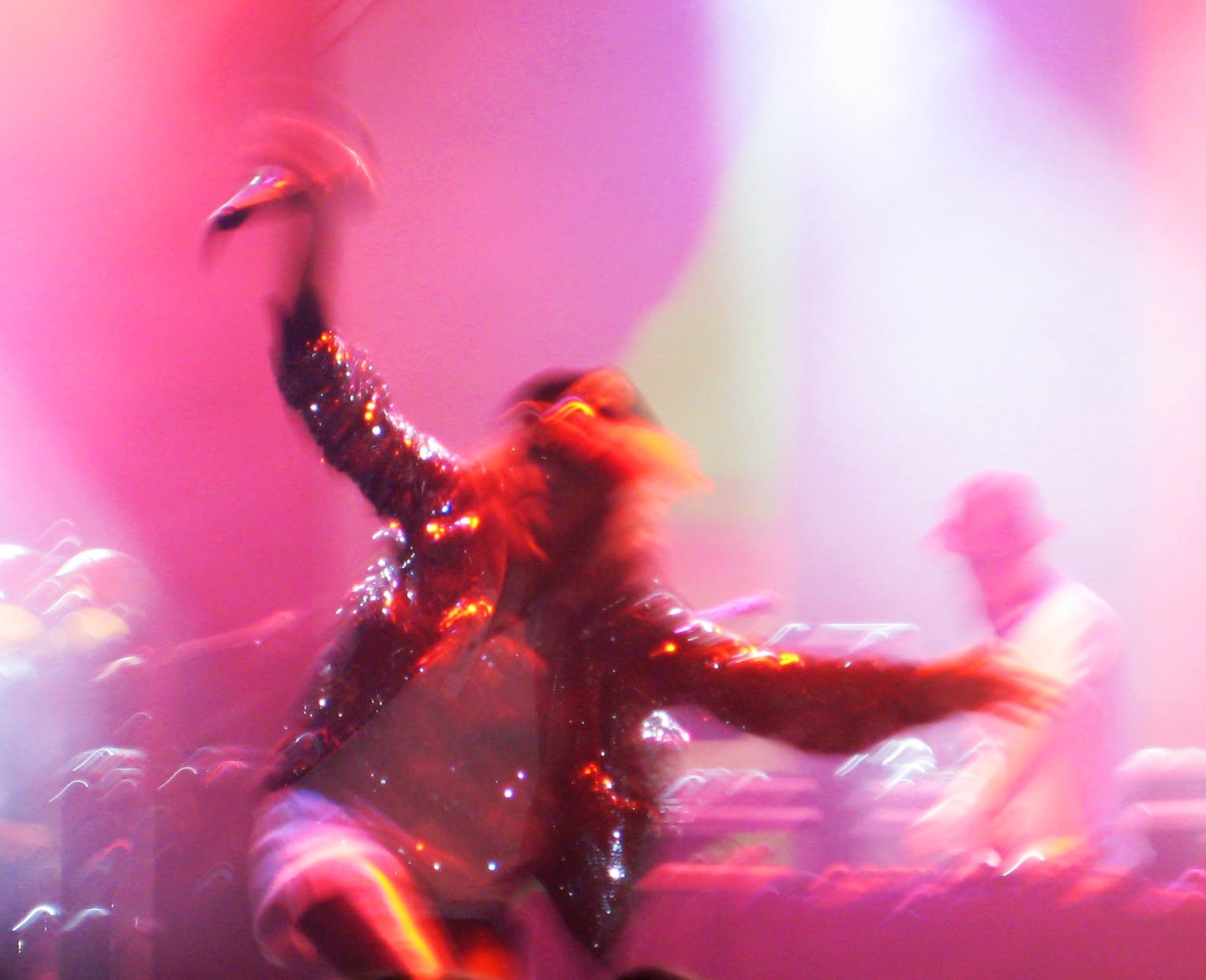 M.I.A. at Vegoose trackside, frame 6