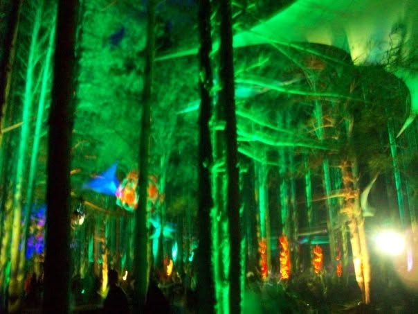 Rothbury 2009 live, frame 16